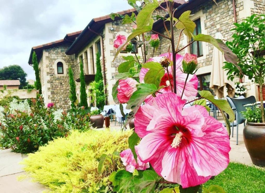 La Fuentona De Santillana Santillana del Mar Zewnętrze zdjęcie